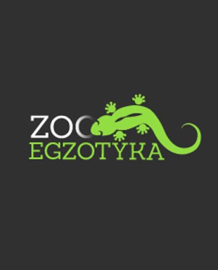 Wystawa pająków - Wrocław