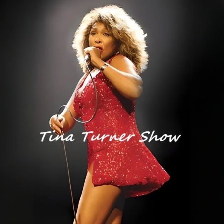 Tina Turner Show