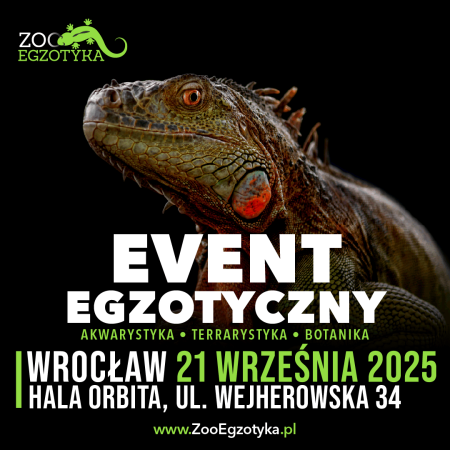 ZooEgzotyka Wrocław