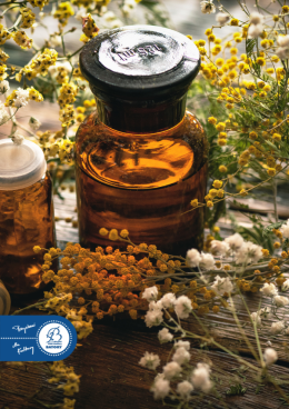 25.04  Twórcze Siedlisko – Warsztaty Zielarskie