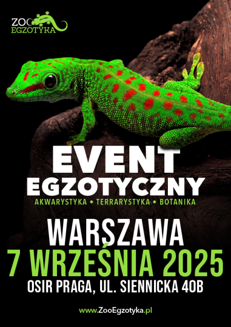 ZooEgzotyka Warszawa