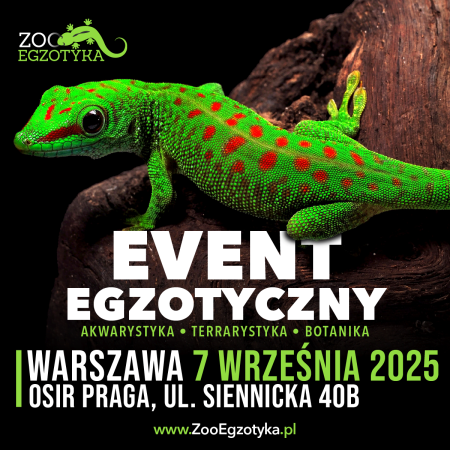ZooEgzotyka Warszawa