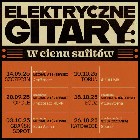 Elektryczne Gitary - W cieniu sufitów