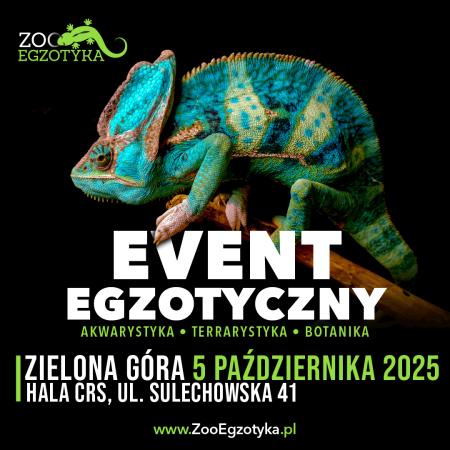 ZooEgzotyka - Zielona Góra