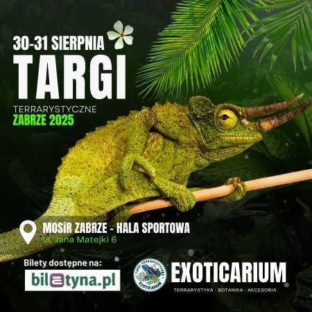 EXOTICARIUM Targi Terrarystyczne Zabrze dwudniowe 30-31 sierpnia