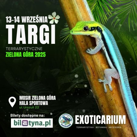 EXOTICARIUM Targi Terrarystyczne Zielona Góra dwudniowe 13-14 września