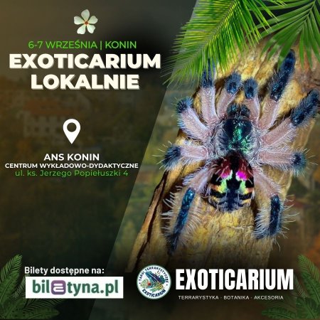 EXOTICARIUM LOKALNIE Targi Terrarystyczne Konin dwudniowe 6-7 września