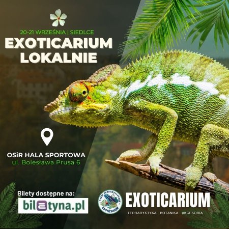 EXOTICARIUM LOKALNIE Targi Terrarystyczne Siedlce dwudniowe 20-21 września