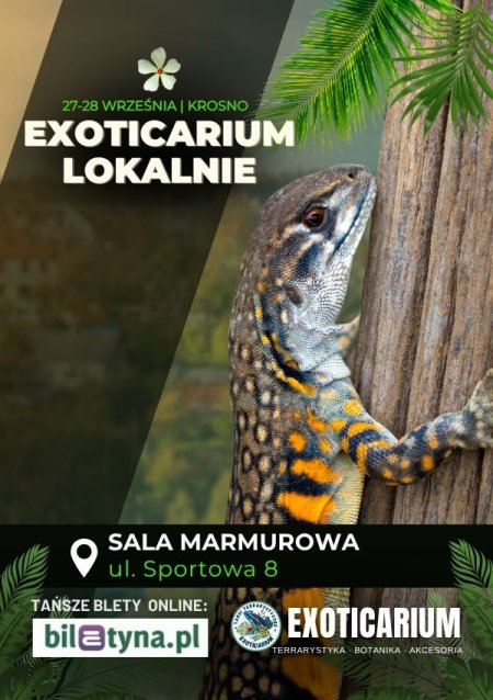 EXOTICARIUM LOKALNIE Targi Terrarystyczne Krosno dwudniowe 27-28 września