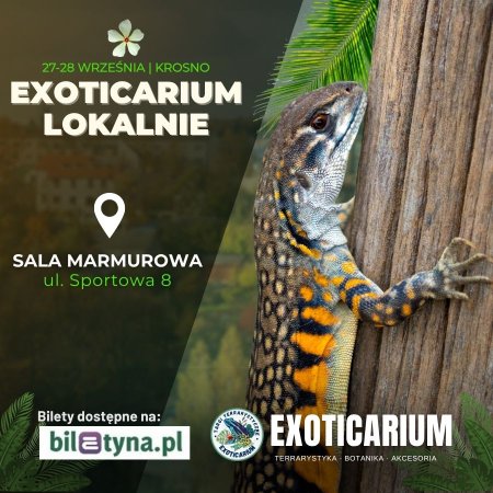 EXOTICARIUM LOKALNIE Targi Terrarystyczne Krosno dwudniowe 27-28 września