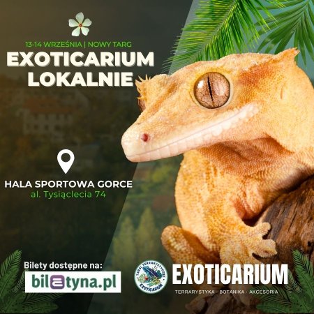 EXOTICARIUM LOKALNIE Targi Terrarystyczne Nowy Targ dwudniowe 13-14 września