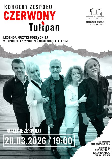 Czerwony Tulipan