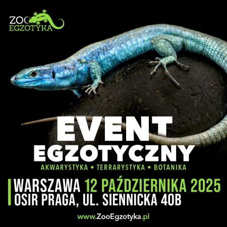 ZooEgzotyka Warszawa