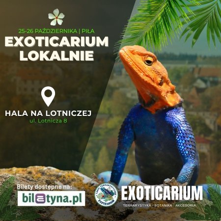 EXOTICARIUM LOKALNIE Targi Terrarystyczne Piła dwudniowe 25-26 października