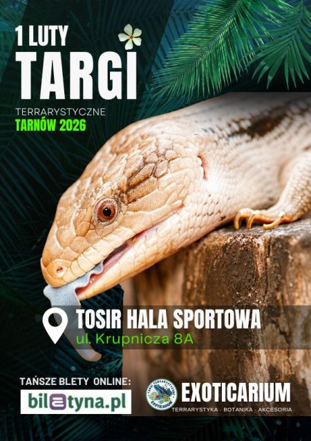 EXOTICARIUM Targi Terrarystyczne Tarnów 1 luty