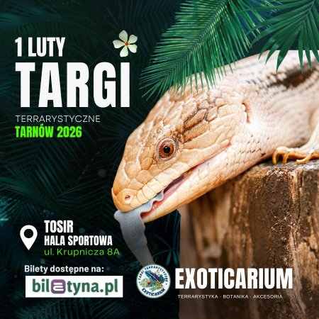 EXOTICARIUM Targi Terrarystyczne Tarnów 1 luty