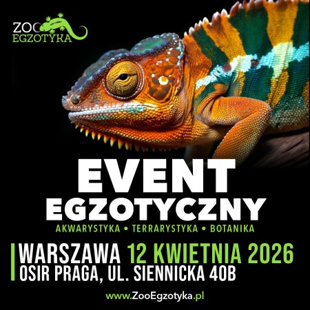 ZooEgzotyka Warszawa