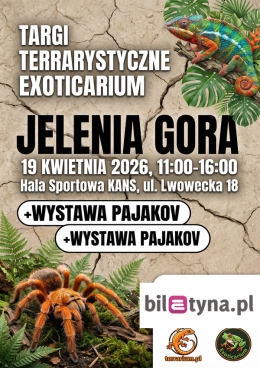 Jelenia Góra - Targi Terrarystyczne Exoticarium + Wystawa Pająków