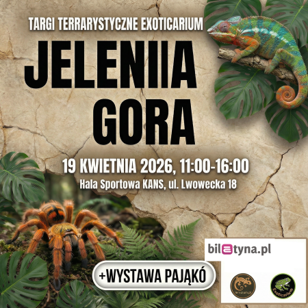 Jelenia Góra - Targi Terrarystyczne Exoticarium + Wystawa Pająków