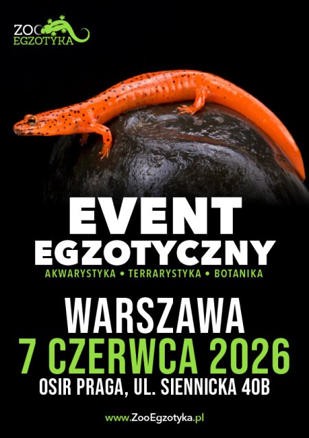 ZooEgzotyka Warszawa